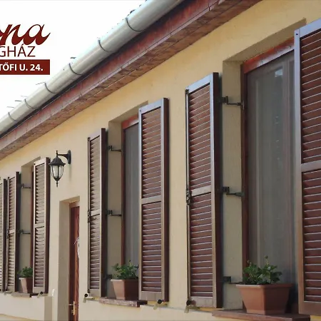 Ilona Vendeghaz Guest house Dinnyes