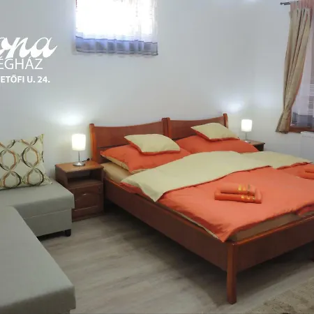 Ilona Vendeghaz Guest house *